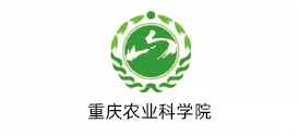 资源 343222.png